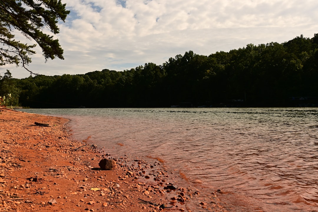 Photo Lake Lanier